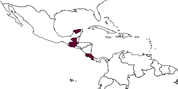 map of Callihormius janzeni     Marsh, 2002